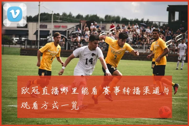 欧冠直播哪里能看 赛事转播渠道与观看方式一览